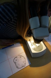Microscope-Study