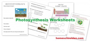 Photosynthesis Worksheets