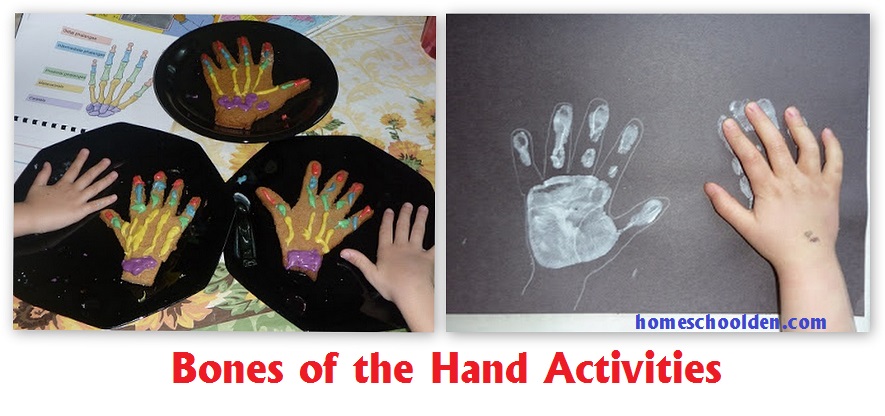 Bones-of-the-Hand-Activities
