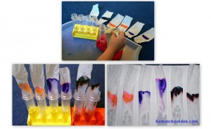 Chemistry-Experiment-Chromatography