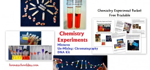 Chemistry-Experiment-Mixtures-Chromatography-DNA-Experiments