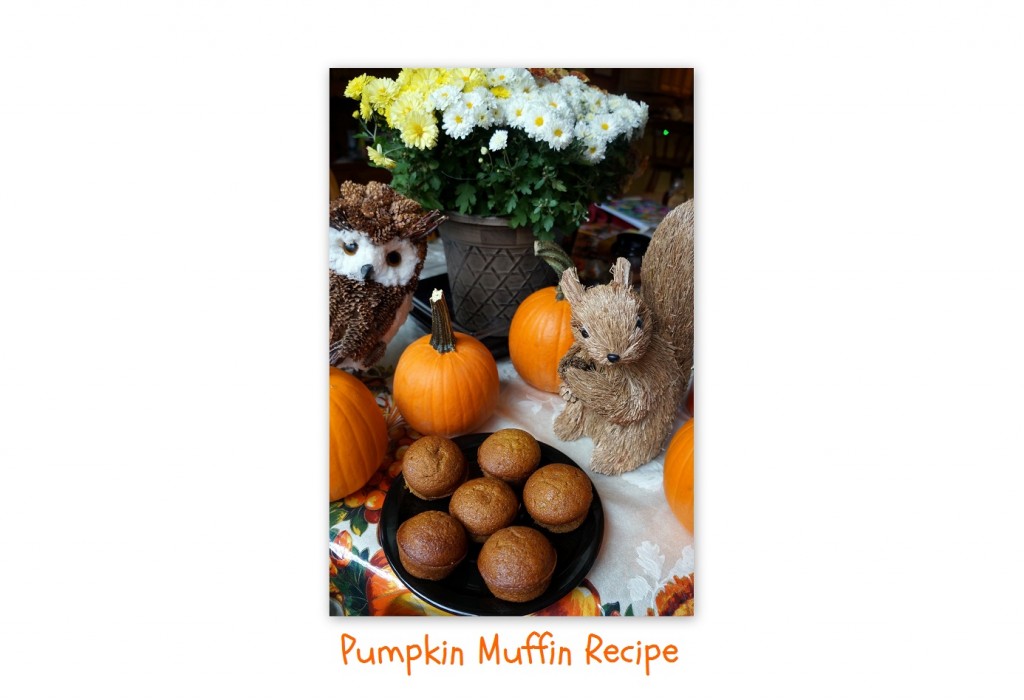 Pumpkin-Muffin-recipe-feature