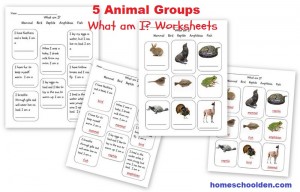 5-Animal-Groups-Worksheets