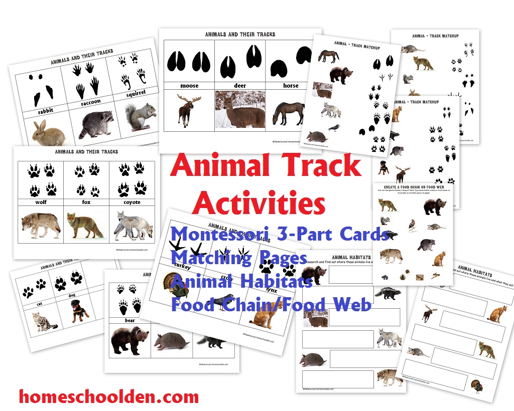 Animal-Track-Activities