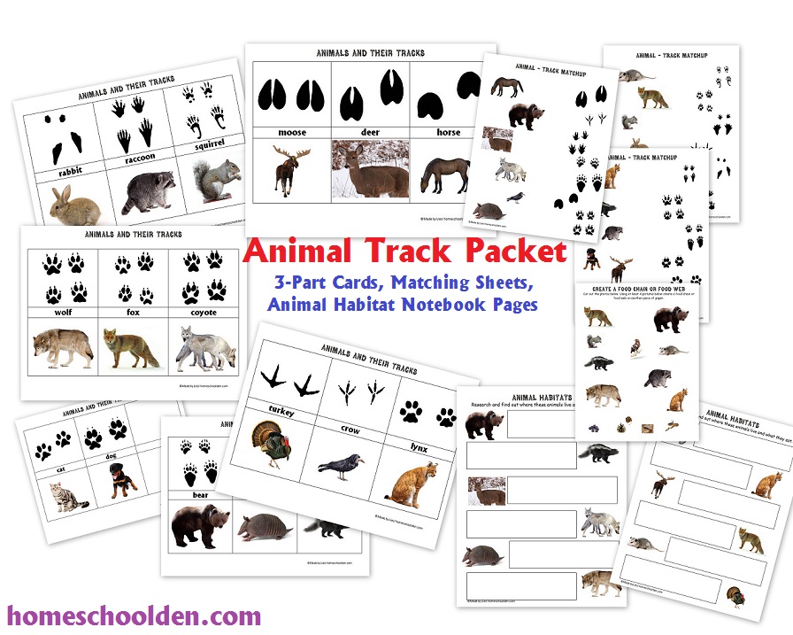 Biology Unit: Animal Tracks and Animal Anatomy - Homeschool Den