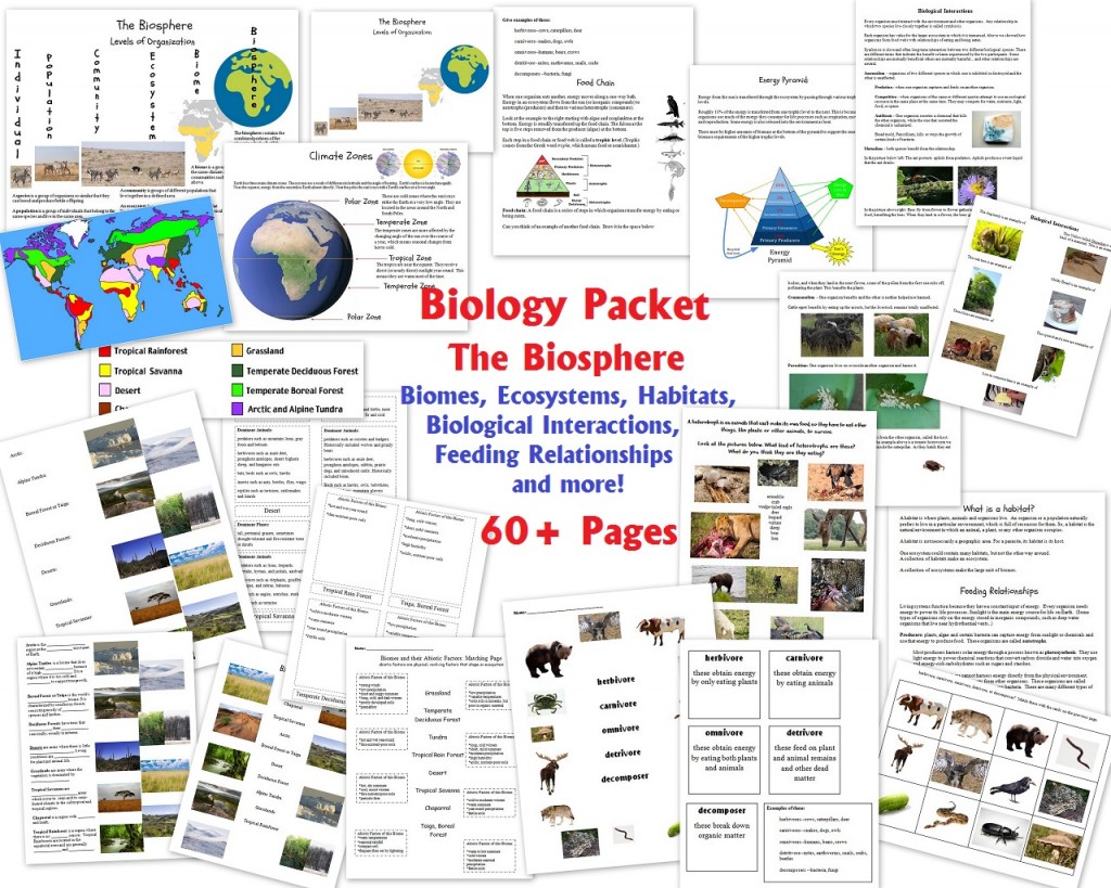 Biology Packet-The Biosphere