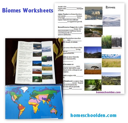 biomes-worksheets