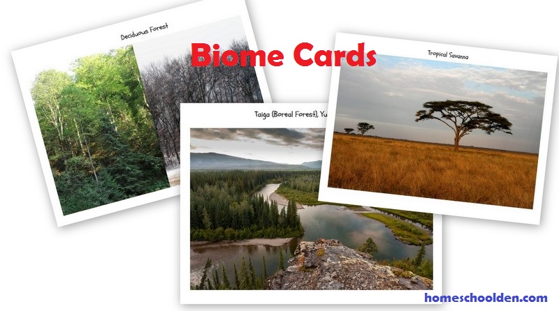 Biome-Cards
