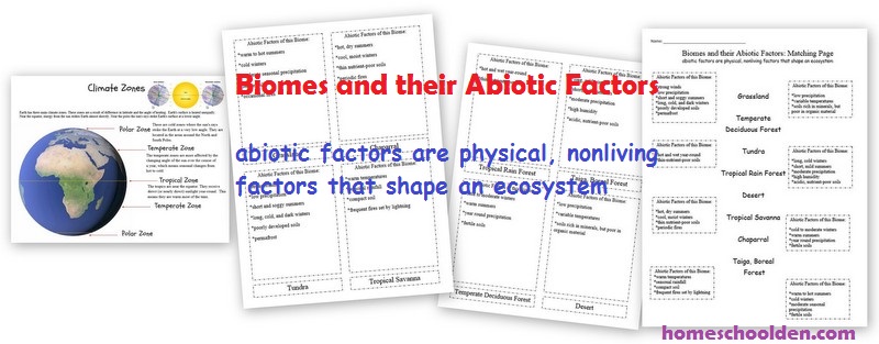Biomes-Abiotic-Factors-Worksheets