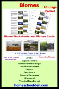 Biomes Worksheets and Cards - 70 Page Packet