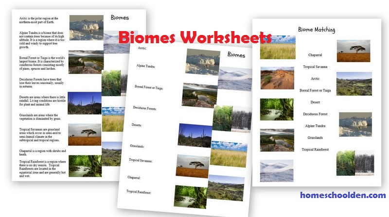 Biomes-Worksheets