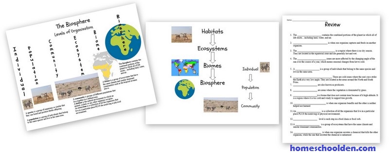 Biosphere-Worksheets