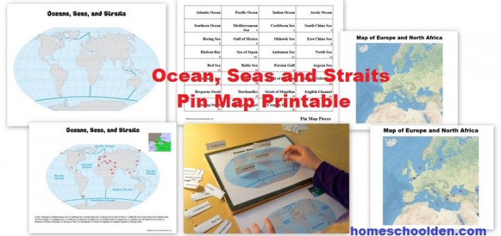 Ocean Seas Straits Pin Map printable