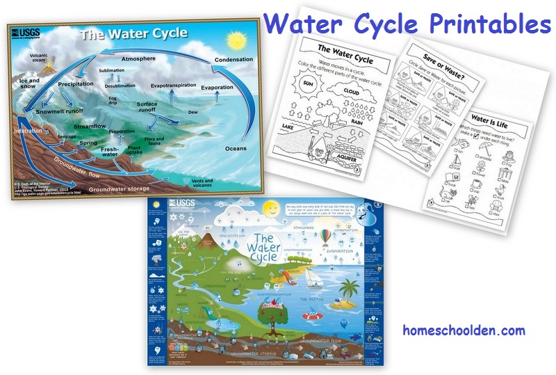Free Water Cycle Printables
