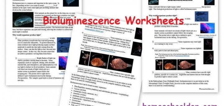 Bioluminescence-Worksheets