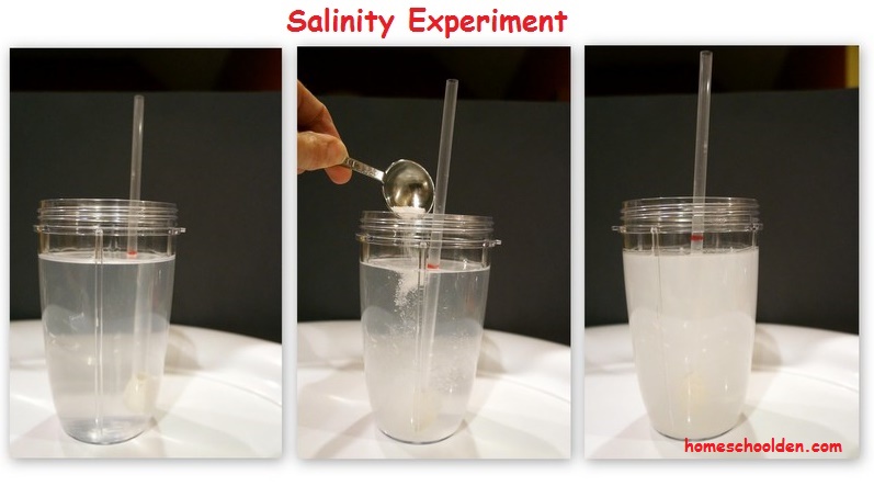 Salinity-Experiment-SaltWater-Straw