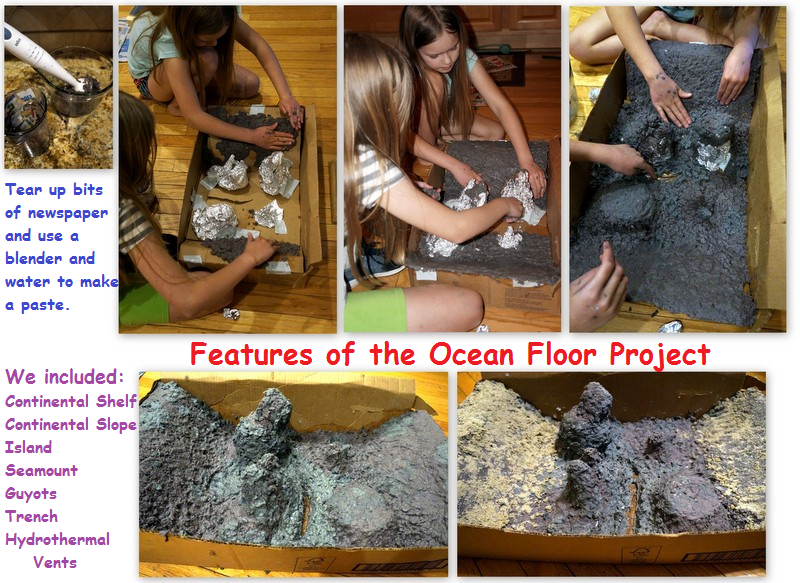 Features of the Ocean Floor Project