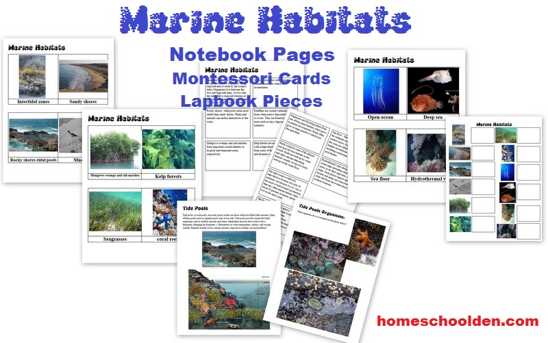 Marine Habitats Worksheets