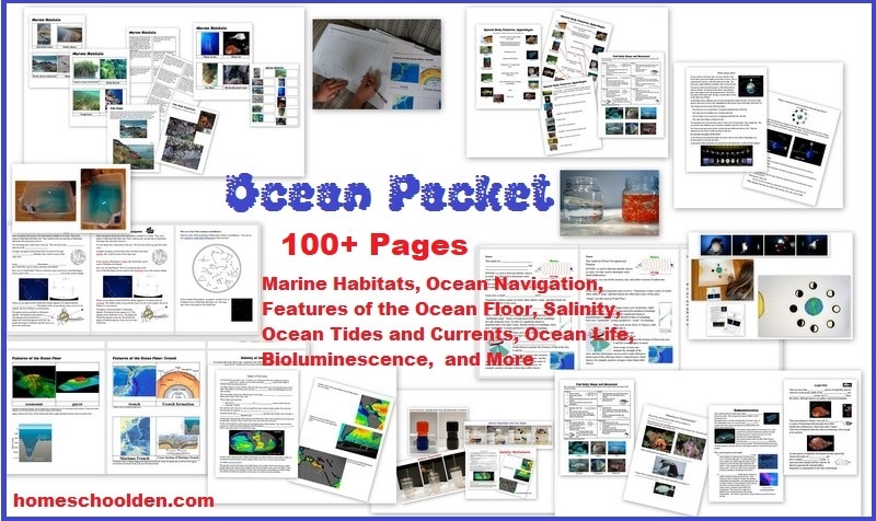 Ocean-Unit-100 Pages Marine-Habitats-Ocean-Currents-Tides-Bioluminescence