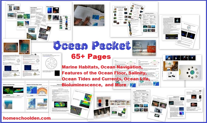 Ocean-Unit-Packet-Marine-Habitats-Ocean-Currents-Tides-Bioluminescence