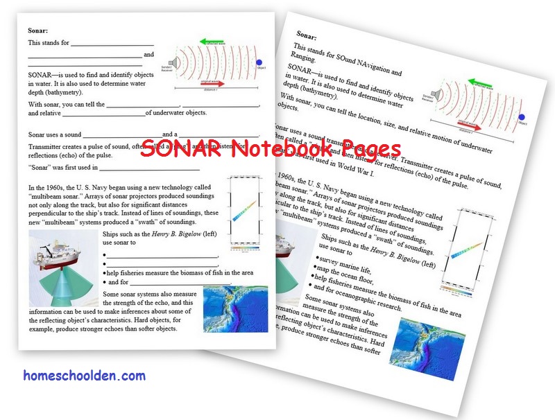 SONAR-notebook-pages