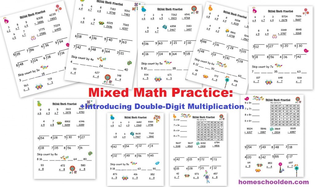 Mixed-Math-Practice-Introducing-Double-Digit-Multiplication