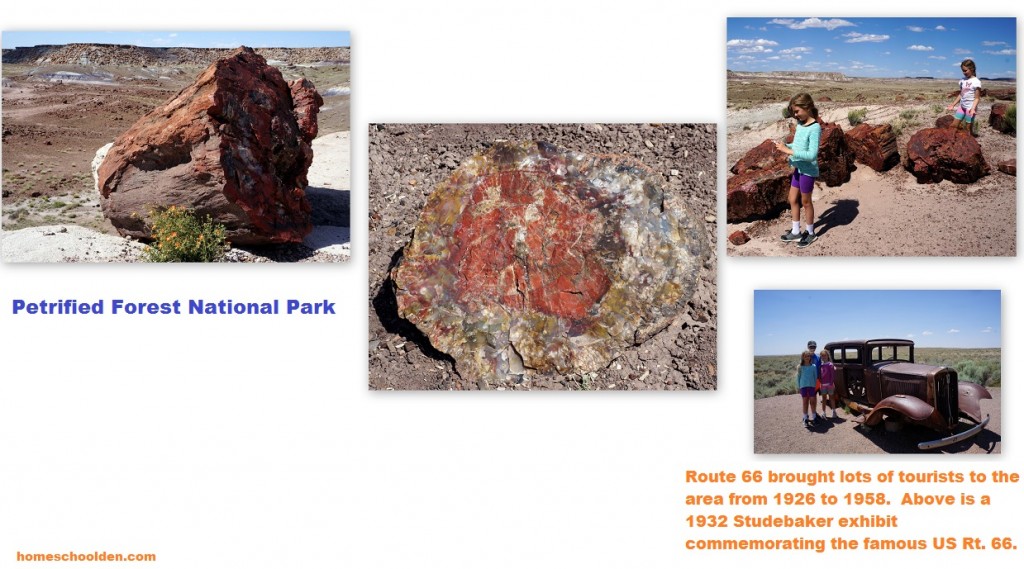 Petrified-Forest-National-Park