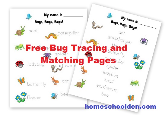Bug Tracing Matching Pages