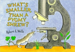 whats-smaller-than-a-pygmy-shrew