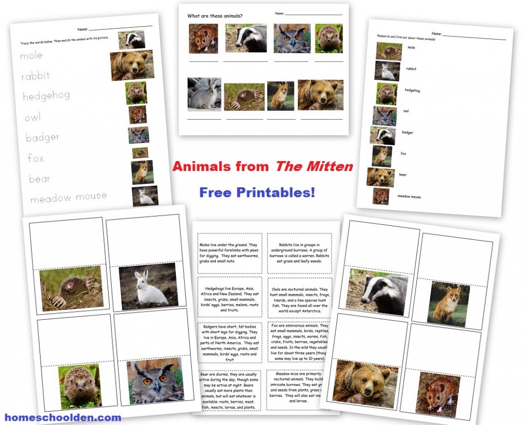 The Mitten - Animal Printables