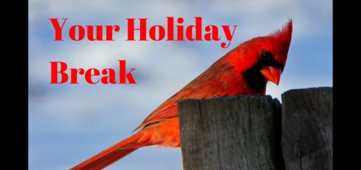 tips to get the most out of your homeschool break