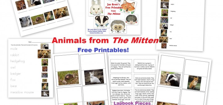 The Mitten Free Printables Animal Worksheets Lapbook