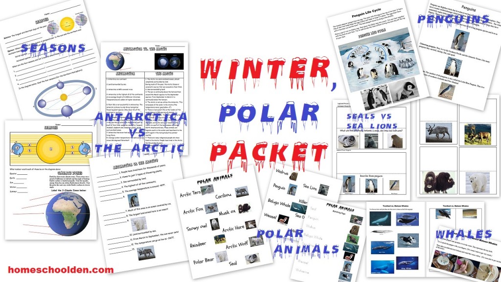 Winter Polar Unit - Penguins Whales Worksheets and More