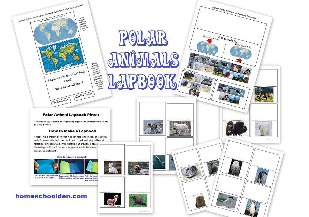 Polar Animals Lapbook