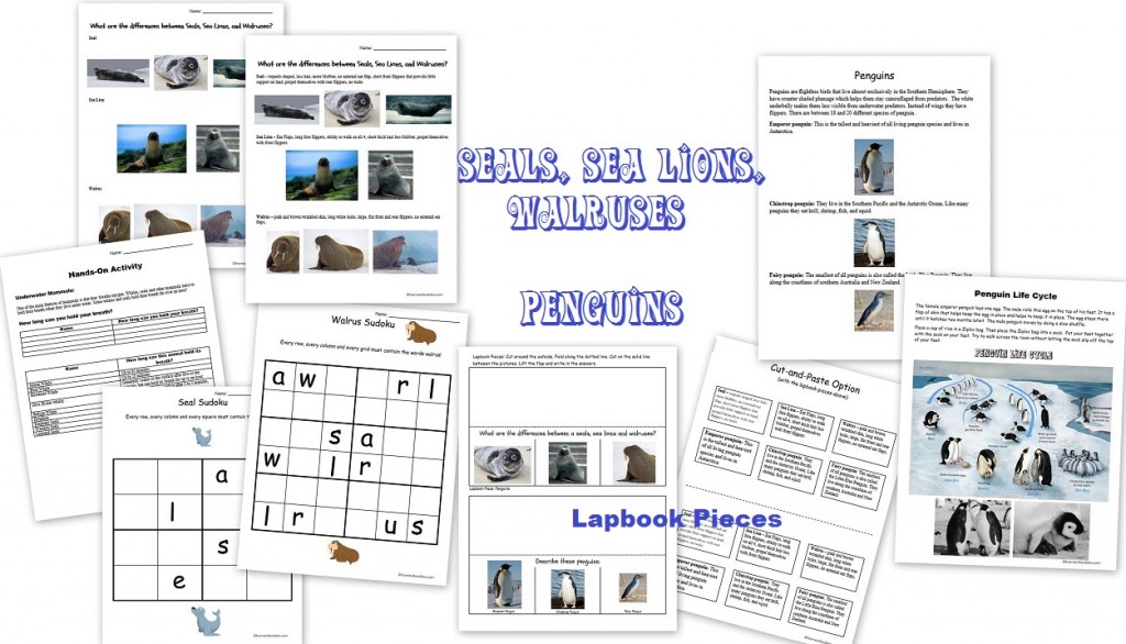 Seals Penguins Worksheets and Lapbook