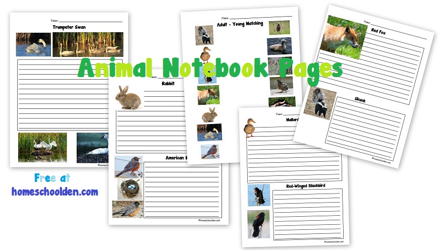 Animal Notebook Pages