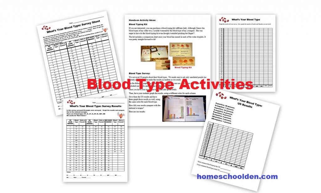 Blood Type Activities
