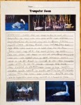 Trumpeter-Swan-Notebook-Page