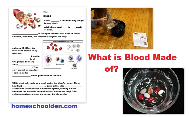 Blood Worksheet