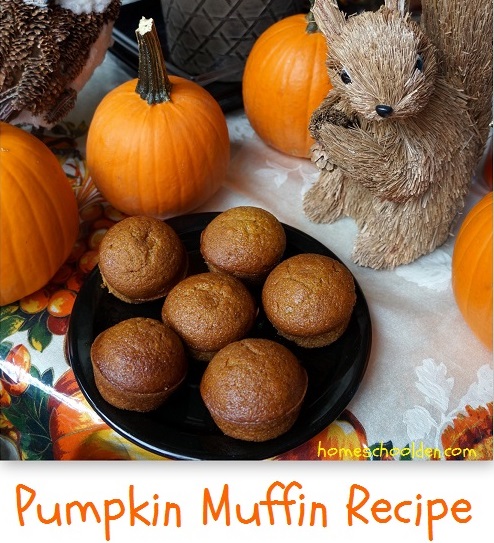 Pumpkin-Muffin-recipe