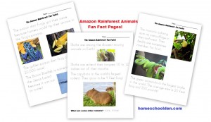 Animals and Their Characteristics (Free Worksheet) - Homeschool Den
