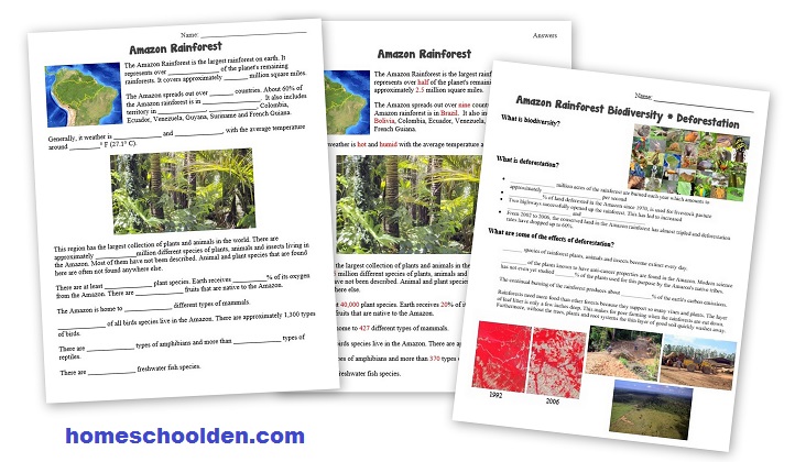 Rainforest Worksheets Amazon