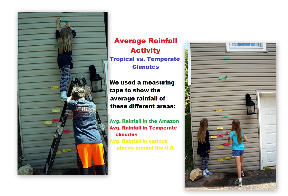 average rainfall in rainforests