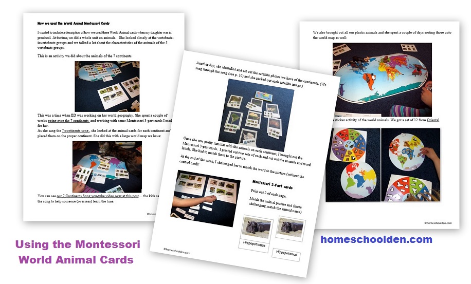 How to Use Montessori 3-part cards - world animal cards