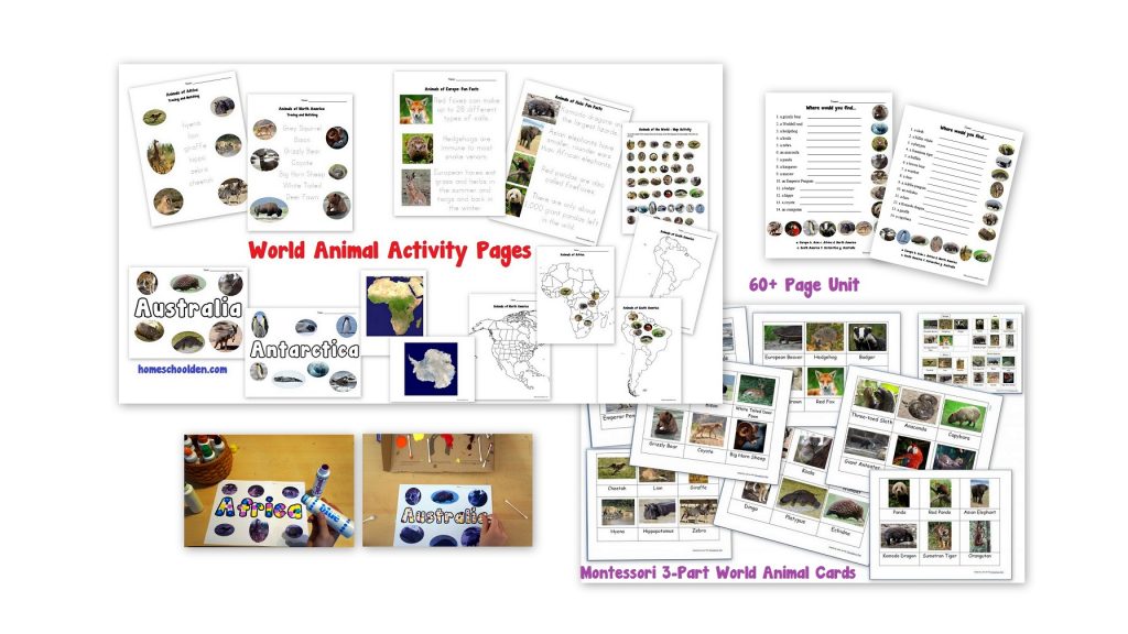 World Animals Unit 3-Part Cards Montessori Cards Activities