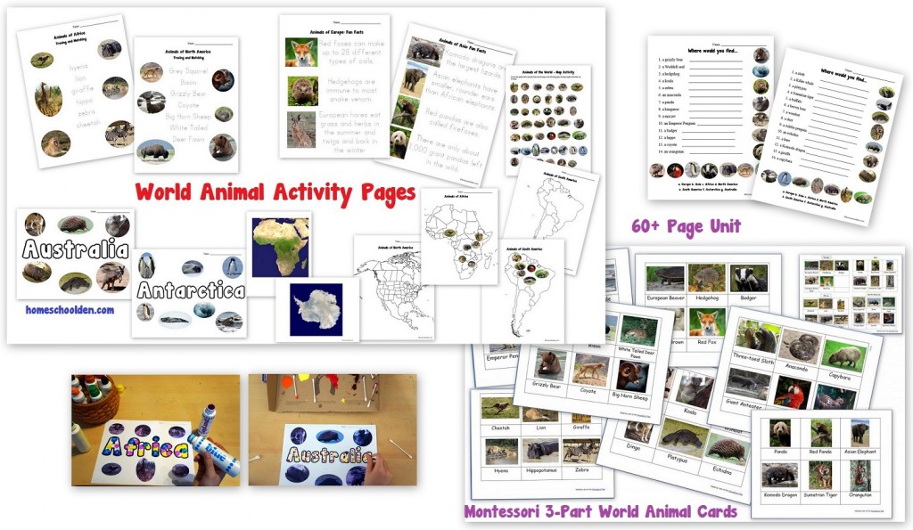 World Animal Worksheets Montessori 3-part cards activities