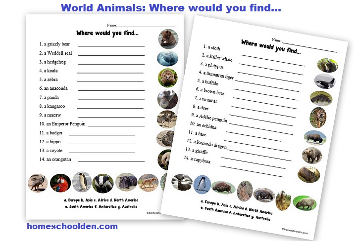 World Animals - where would you find activity