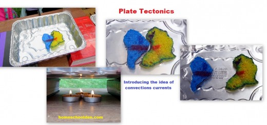 Plate Tectonics Activity - Convection Currents