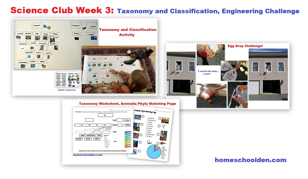 Science Club Week 3 - Taxonomy and Classification - Engineering Challenge
