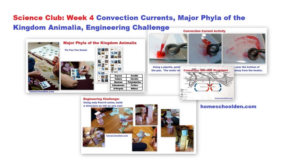 Science Club Week 4 Convection Currents Major Phyla Engineering